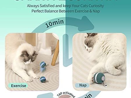 boqii Cat Toys for Indoor Cats Smart Balls on Sale