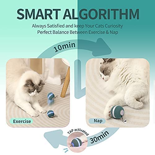 boqii Cat Toys for Indoor Cats Smart Balls on Sale