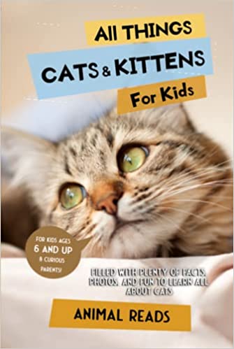 All Things Cats & Kittens For Kids Discount