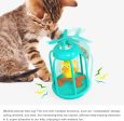 Automatic Windmill Tumbler Bird Cat Toy Hot on Sale