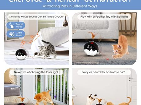 2021 Latest Interactive Cat Toys for Indoor Cats Cheap