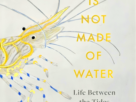 The Sea Is Not Made of Water: Life Between the Tides Discount