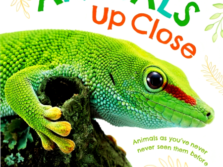 Animals Up Close: Animals As You Ve Never Seen Them Before For Cheap