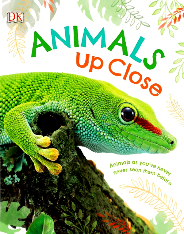 Animals Up Close: Animals As You Ve Never Seen Them Before For Cheap