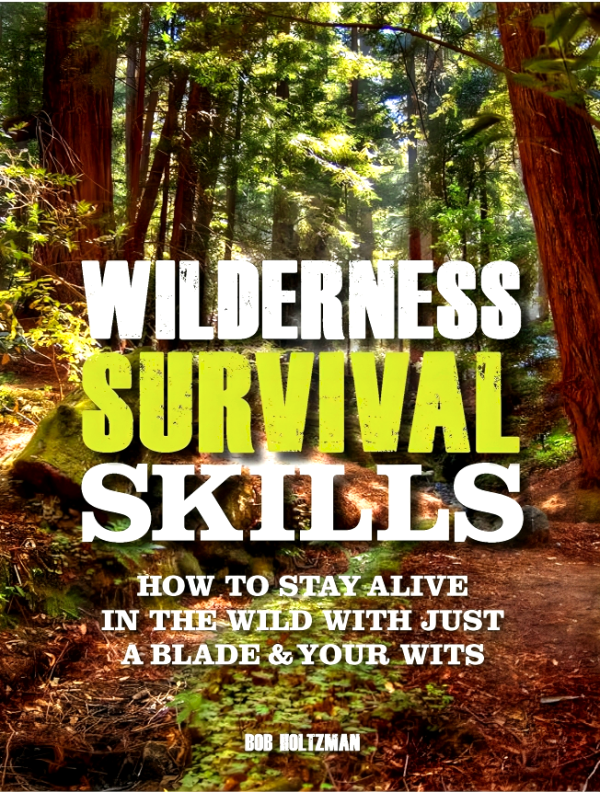 Wilderness Survival Skills: How to Stay Alive in the Wild With Just a Blade & Your Wits Hot on Sale