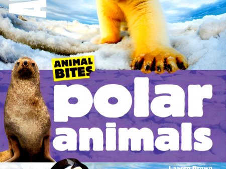 Animal Bites - Polar Animals Online now