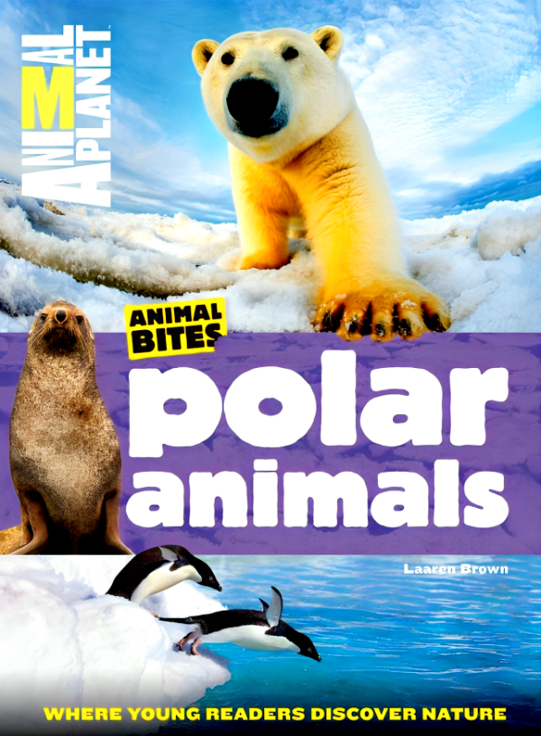 Animal Bites - Polar Animals Online now