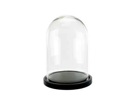 21  Cloche Terrarium with Black Wood Base Discount