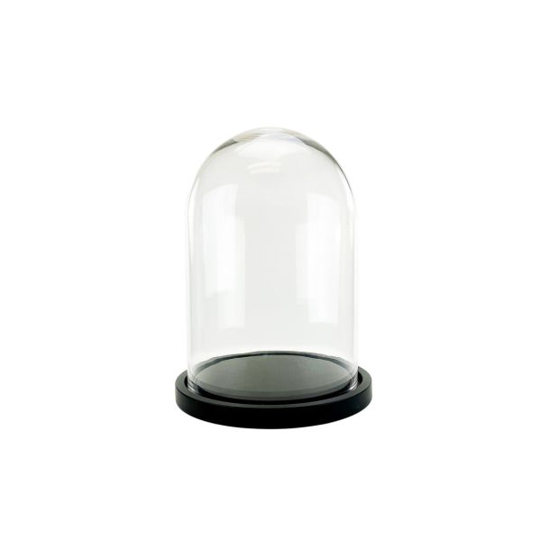 21  Cloche Terrarium with Black Wood Base Discount