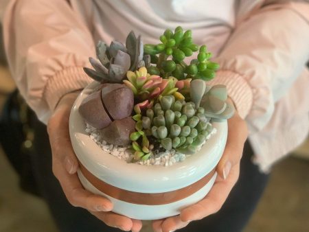 3 21 @ 6:00 Succulent Bowls Workshop Cheap