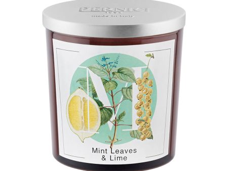 Candela Profumata Fragranza Menta e Lime - Mint Leaves & Lime Hot on Sale