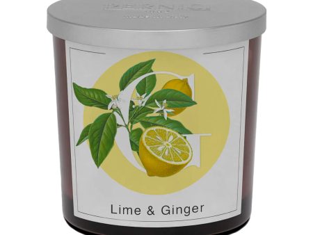 Candela Profumata Fragranza Lime e Zenzero - Lime & Ginger Cheap