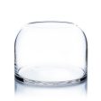 10  Domed Terrarium Vessel on Sale