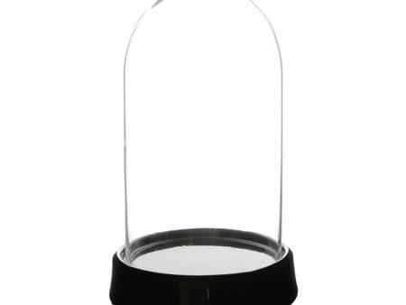 11  Cloche Terrarium with Black Ceramic Base Online