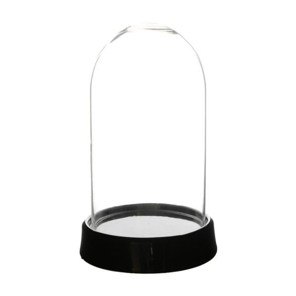 11  Cloche Terrarium with Black Ceramic Base Online