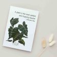 A Plant is the Most Patient & Forgiving Teacher - Blank Greeting Card For Sale