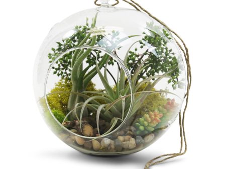 8  Hanging Round Terrarium Glass Discount