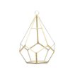 8  Gold Geometric Drop Terrarium Glass Fashion