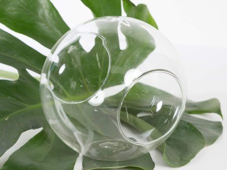 6  Double Open Tabletop Terrarium Sphere Discount