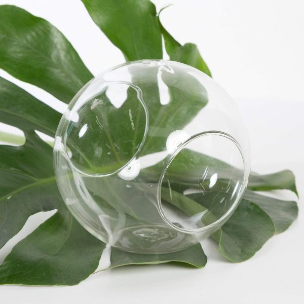 6  Double Open Tabletop Terrarium Sphere Discount