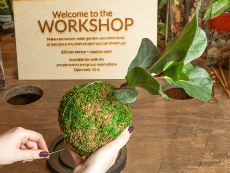 1 24 @ 6:00 Kokedama Workshop Online Sale