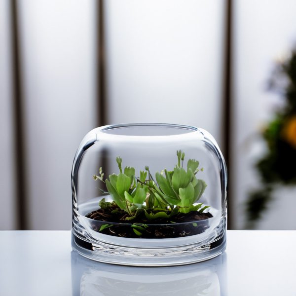 10  Domed Terrarium Vessel on Sale