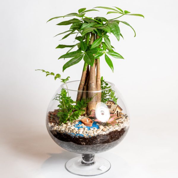 9  Glass Pedestal Terrarium Fashion