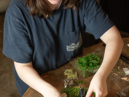 4 12 @ 6:00 Beginner Terrarium Workshop Supply