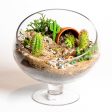 8.5  Slant Cut Terrarium with Stem Discount